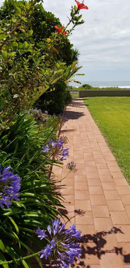 Beachfront Bliss Ohope Exterior photo